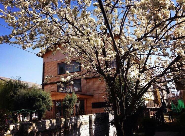 Royal Star Inn Σριναγκάρ Εξωτερικό φωτογραφία